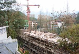 重庆梁平爆料最新消息,揭秘事件背后真相